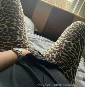 reddadaire_free