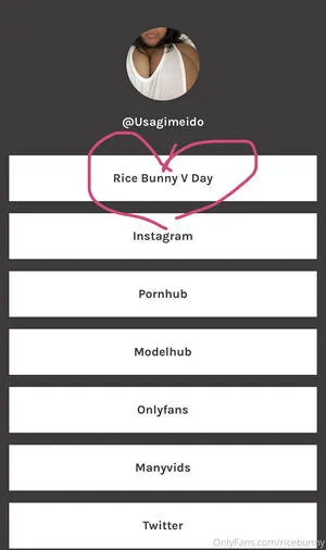 Ricebunny
