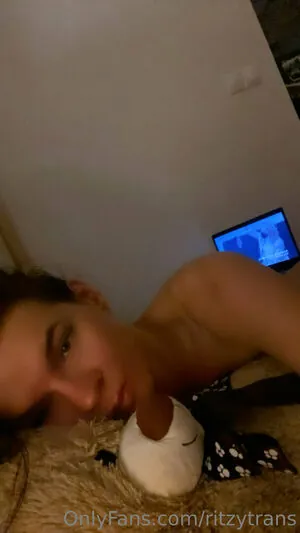 ritzytrans