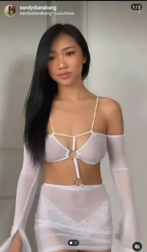 sandydianabang