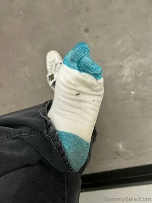 sammysole