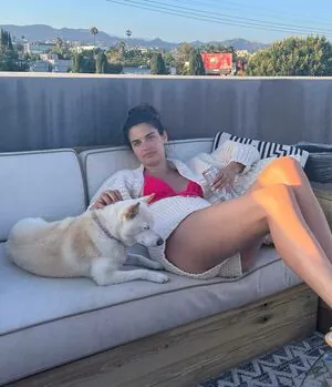 sarasampaio