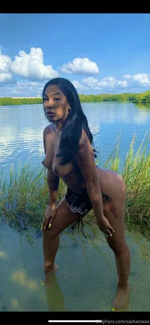 sashastallion