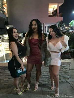 sashastallion