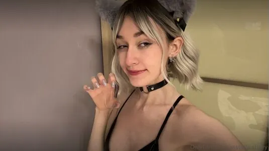 Stella_blossomm