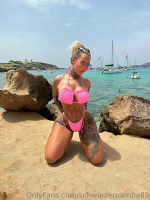 schwarzemamba89