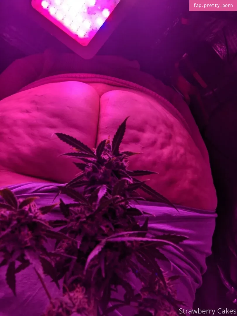 strawberry-cakes - Photo #56
