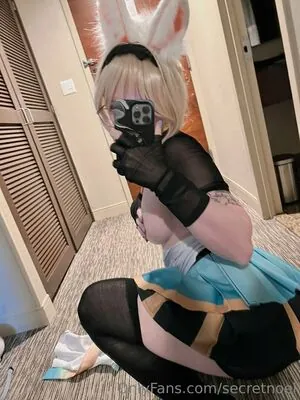 secretnoel