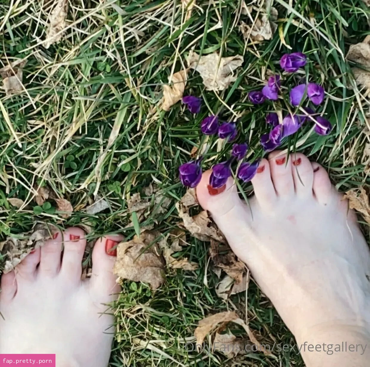 sexyfeetgallery - Photo #09