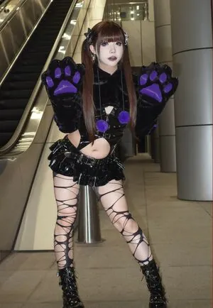 shiliuyelei