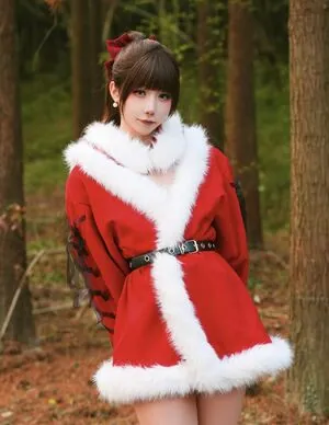 shiliuyelei