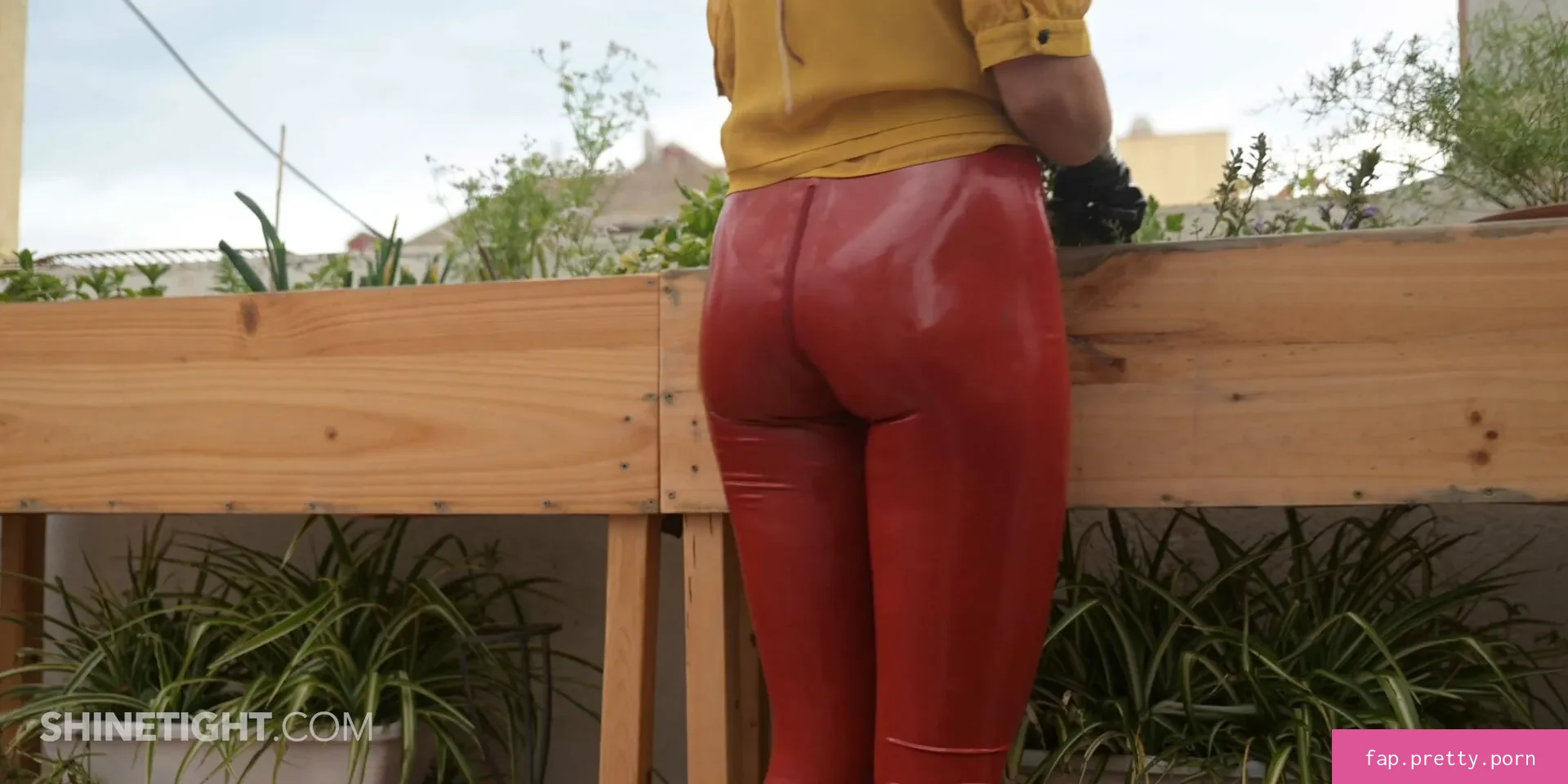 Shinetight - Photo #54