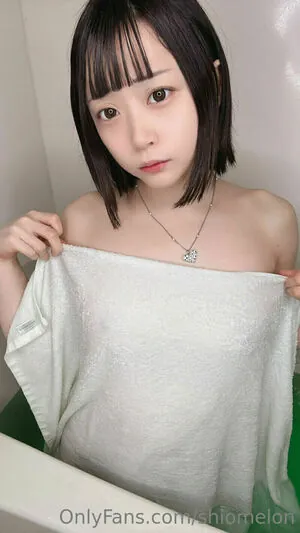 Shiomelon