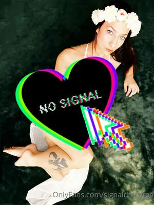 signaldropfree