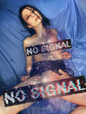 signaldropfree