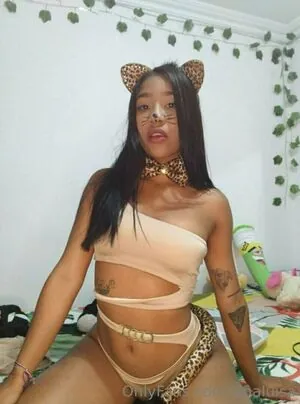 sinaluisa