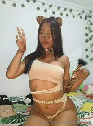 sinaluisa