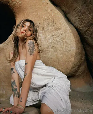 skyelia