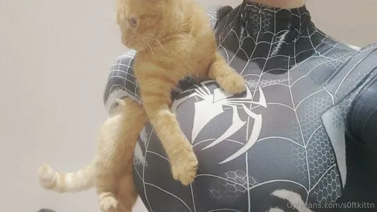 Soft_kittn