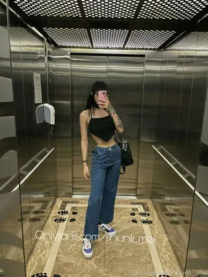 shunli__mei