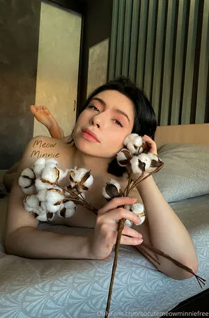 socutemeowminniefree