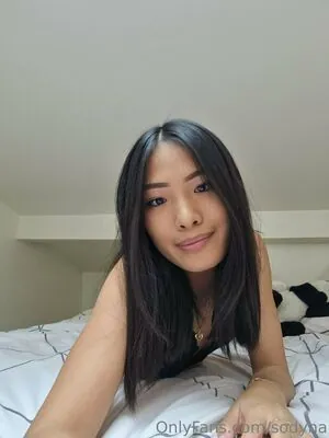 sodyna