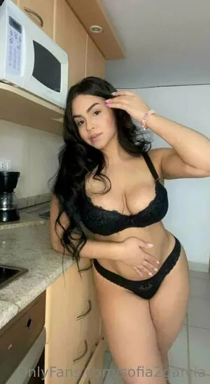 sofia2garcia