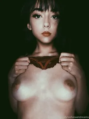 sofiaswetdreams