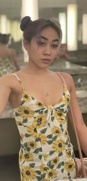 solanasuniverse