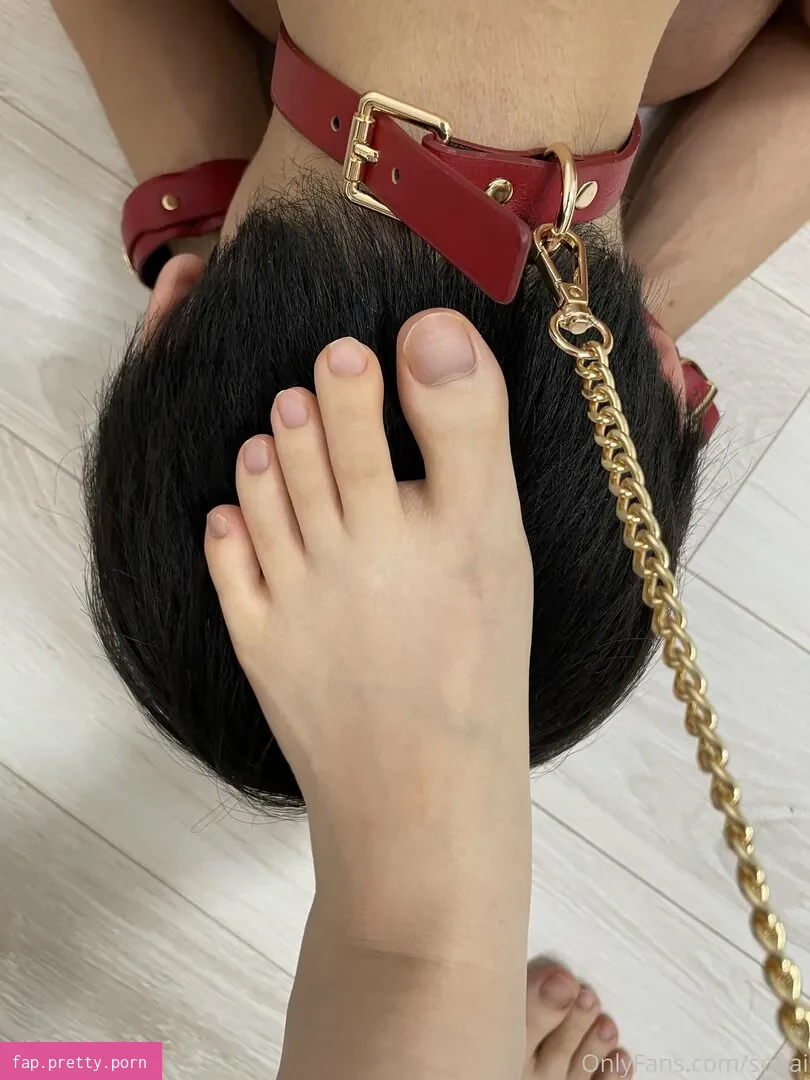 souai - Photo #79