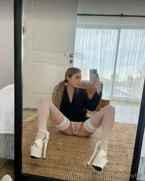 sstormyfox