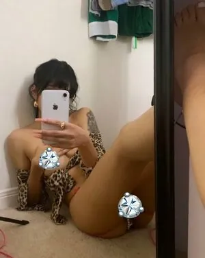 Stardustsvm