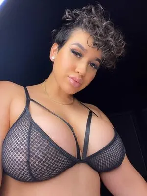 Stephmurves