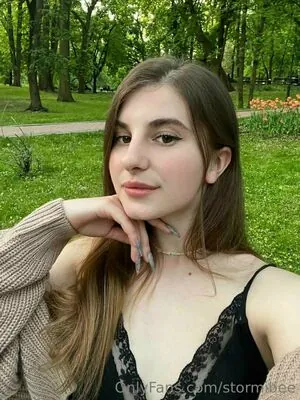 stormibee