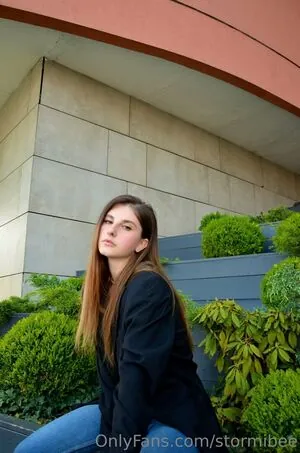 stormibee