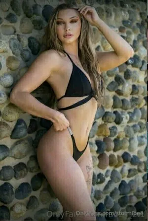 stormibee