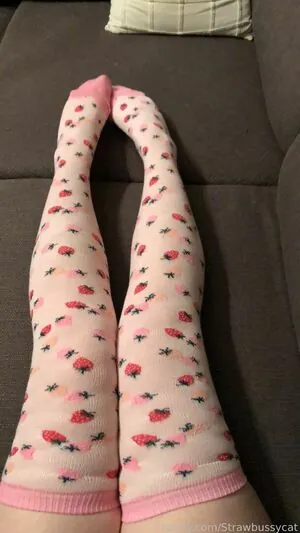 Strawbussycat