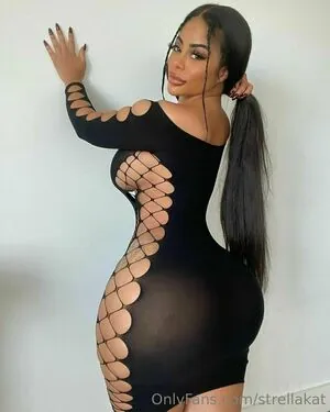 strellakat