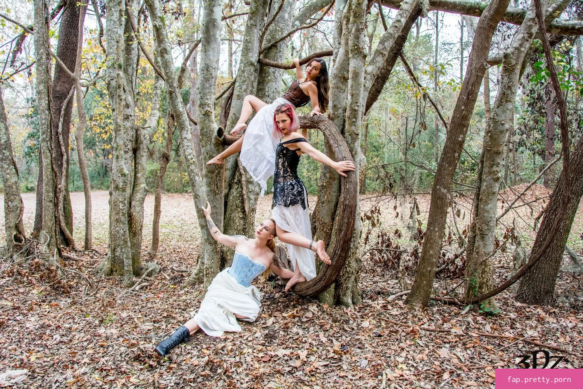 Sugarspins - Photo #17