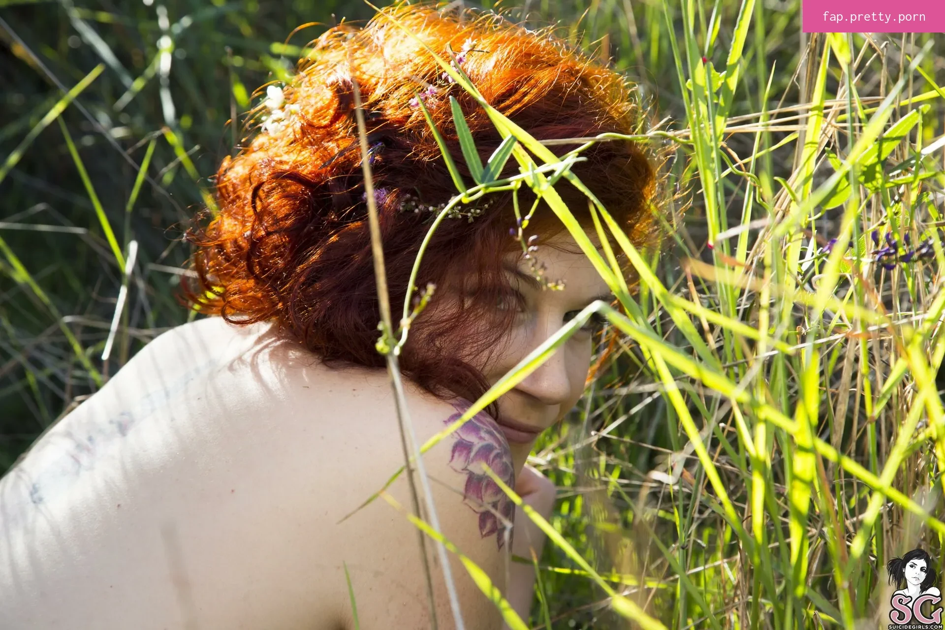 sunflower - Photo #26