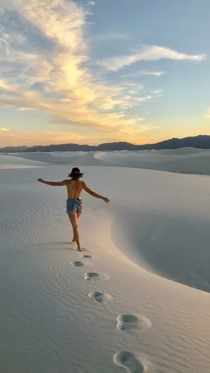 Shantel VanSanten