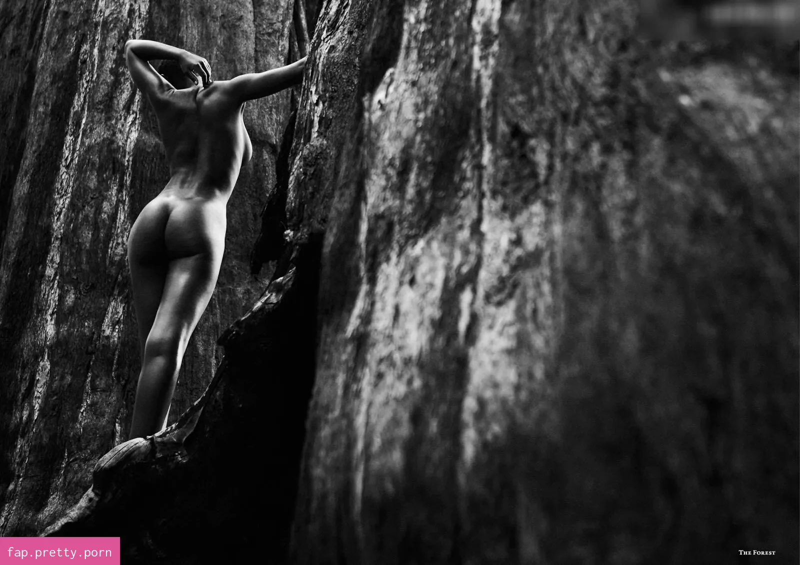 Shasta Wonder - Photo #89