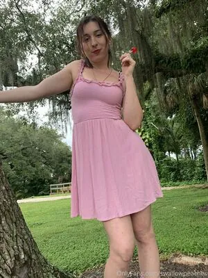 swallowpeaches