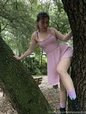 swallowpeaches