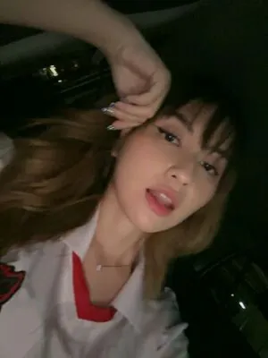 Swansage