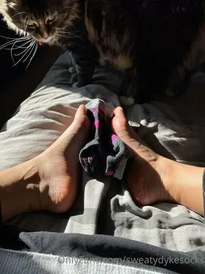 sweatydykesocks