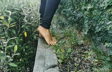 sweetfeetnz