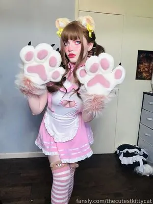thecutestkittycat