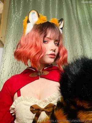 thecutestkittycat