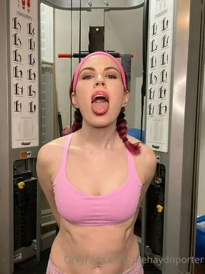 thehaydnporter